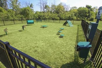 This is a photo of the off-leash dog park at Place Apartments in Washington Township, OH
